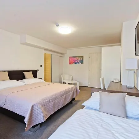 Guest house Av 2*